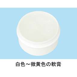 5％サリチル酸ワセリン軟膏　東豊