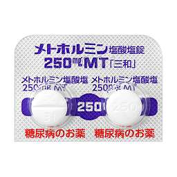 メトホルミン塩酸塩錠250mgMT「三和」