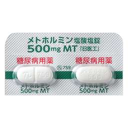 メトホルミン塩酸塩錠500mgMT「日医工」