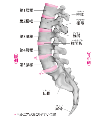 ãè°æ¤ãã®ç»åæ¤ç´¢çµæ