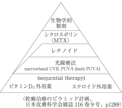 図26　ピラミッド計画