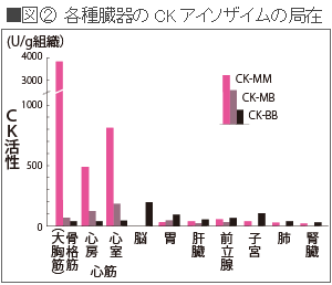 Cpk 高値