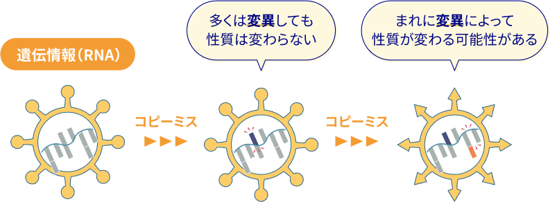 遺伝情報（RNA→コピーミス→多くは変異しても性質は変わらない→コピーミス→まれに変異によって性質が変わる可能性がある）