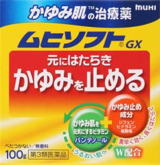 かゆみ肌の治療薬　ムヒソフトＧＸ　１００ｇ