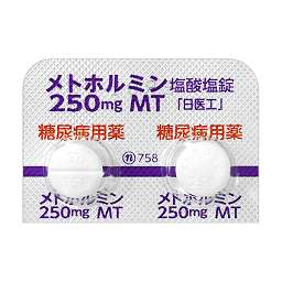 メトホルミン塩酸塩錠250mgMT「日医工」