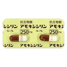 アモキシシリンカプセル250mg「トーワ」