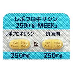 レボフロキサシン錠２５０ｍｇ「ＭＥＥＫ」