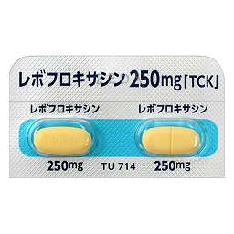 レボフロキサシン錠250mg「TCK」