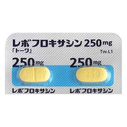 レボフロキサシン錠250mg「トーワ」