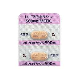 レボフロキサシン錠５００ｍｇ「ＭＥＥＫ」