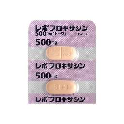 レボフロキサシン錠500mg「トーワ」