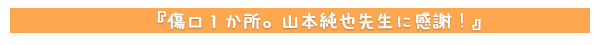 傷口１か所。山本純也先生に感謝！