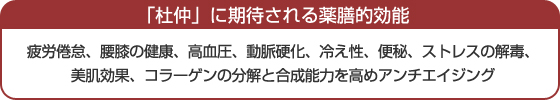「杜仲」に期待される薬膳的効能　疲労倦怠、腰膝の健康、高血圧、動脈硬化、冷え性、便秘、ストレスの解毒、美肌効果、コラーゲンの分解と合成能力を高めアンチエイジング