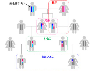 いとこの子供の呼び名 続柄