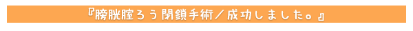 膀胱腟ろう閉鎖手術/成功しました。