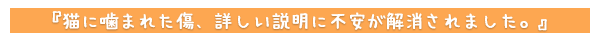 猫に噛まれた傷、詳しい説明に不安が解消されました。
