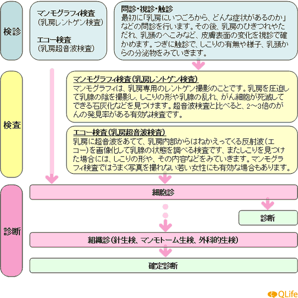 乳がん 医療総合qlife