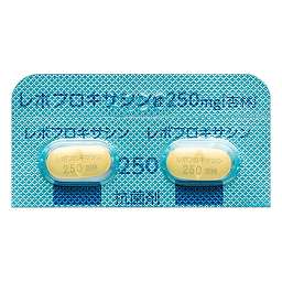 レボフロキサシン錠250mg「杏林」